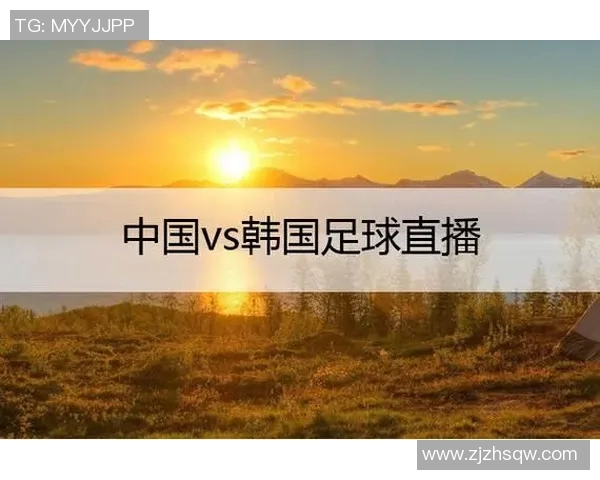 韩国与中国足球比赛直播网站推荐及观看指南